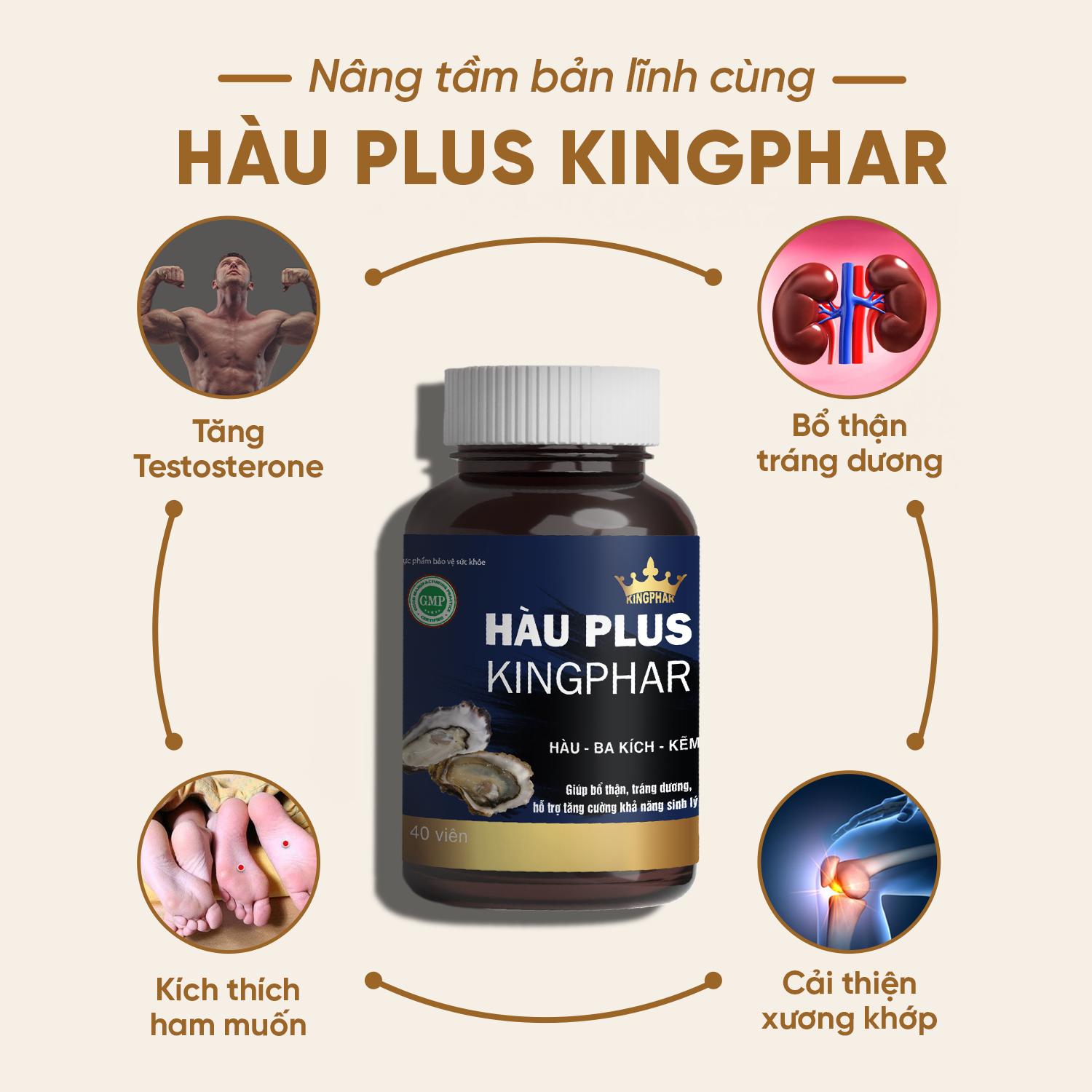 Hàu Plus