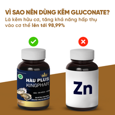 Hàu Plus