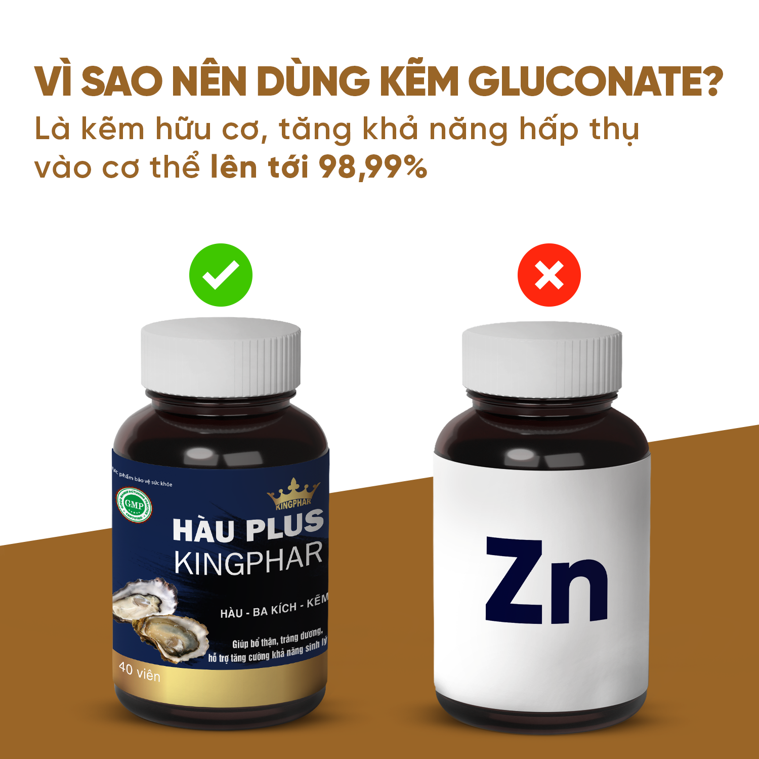 Hàu Plus