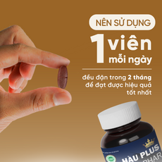 Hàu Plus